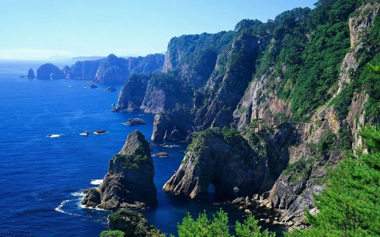 高精度全自动